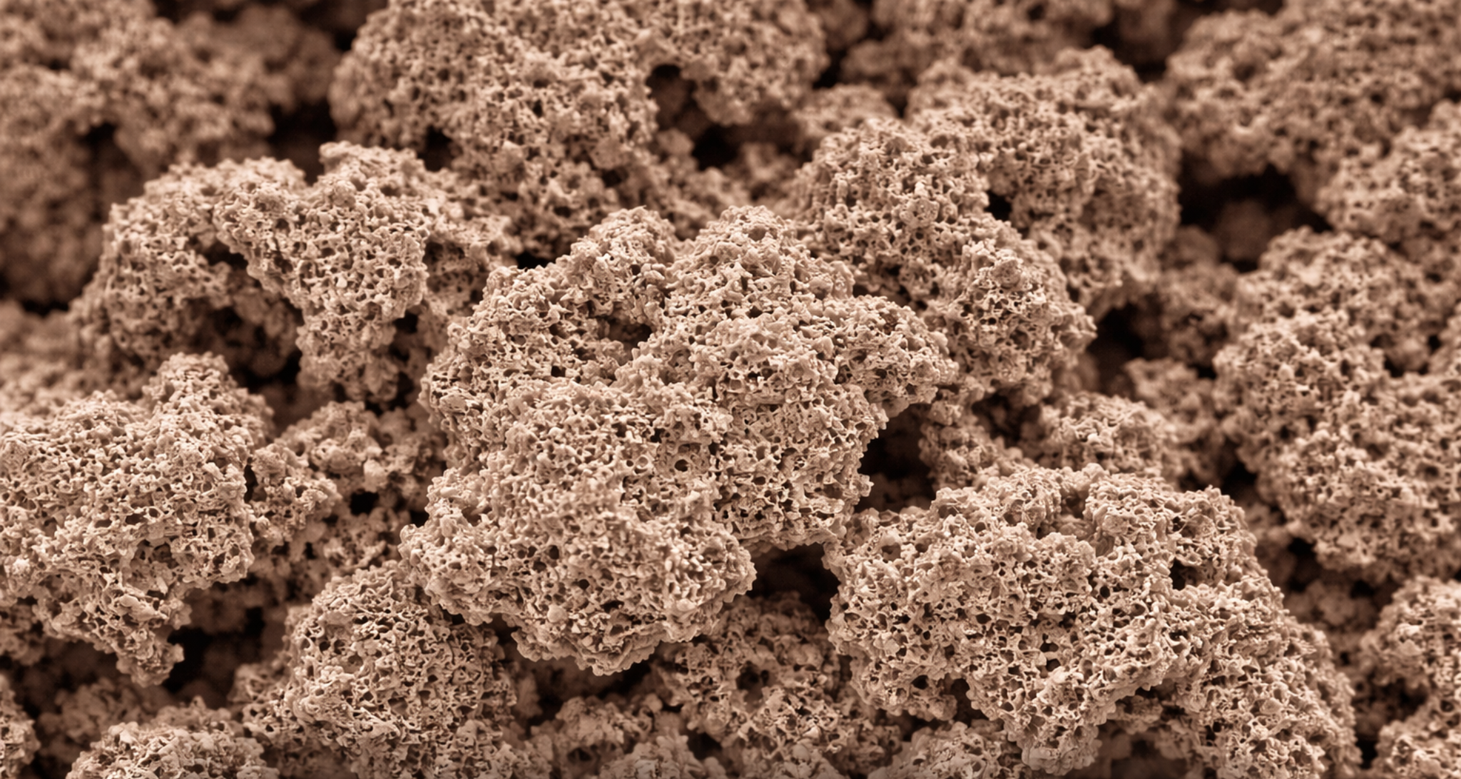 Reduced Powders